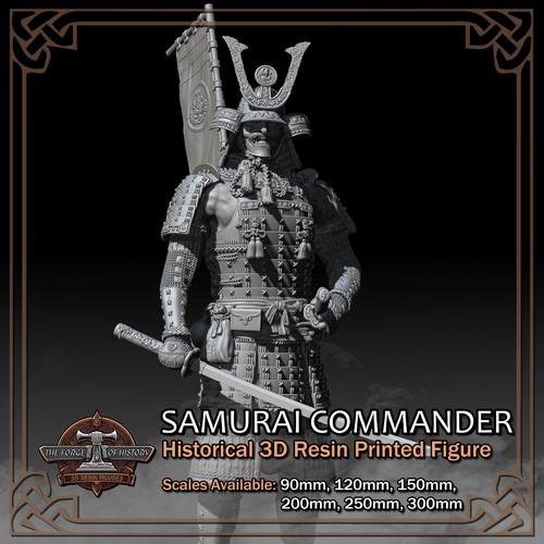 Taisho samurai commander - taisho,