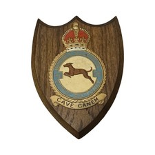 Vintage No49 Bomber Squadron