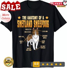 Sheltie The Anatomy Of A