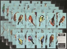 TETLEY (TEA)-FULL SET- BRITISH