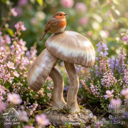 Large robin mushroom - on, a