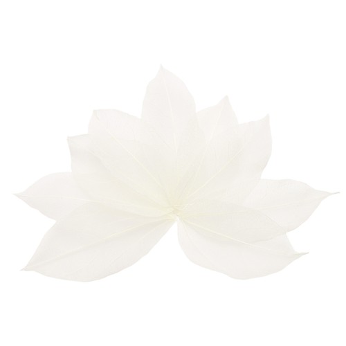 100pcs white skeleton - skeleton, leaves
