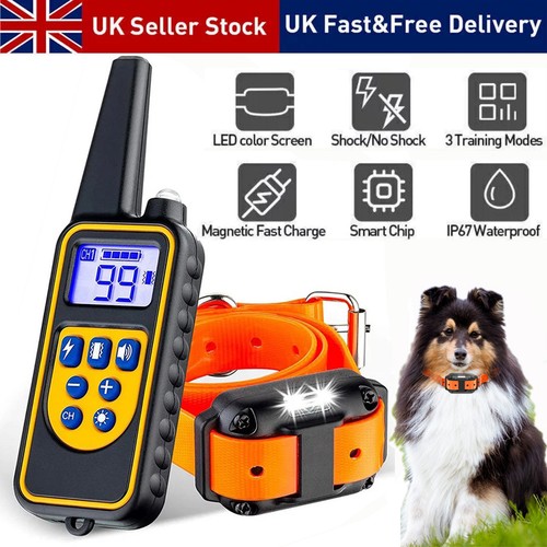 900m electric pet dog - pet, training