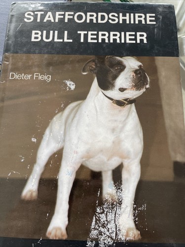 Staffordshire bull terrier - bull,
