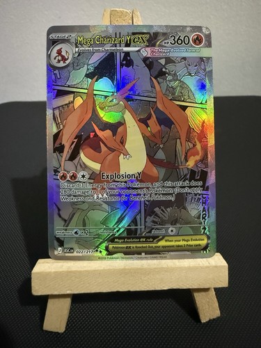 Mega charizard pokemon - y,