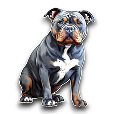 Cute American XL Bully Puppy