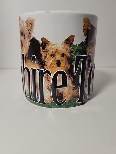 Yorkshire terrier yorkie dog - terrier,