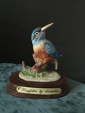 Kingfisher By Leonardo