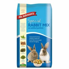 Mr Johnson's Special Rabbit