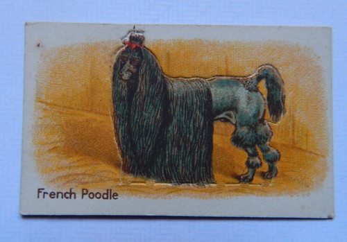 Animals hustler soap french - hustler, ,,french