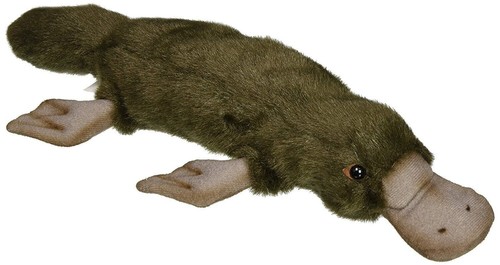 Platypus 3250 plush - platypus, soft