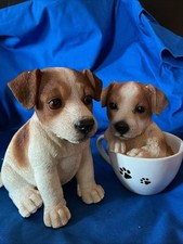 Two Adorable Jack Russell