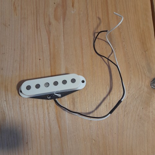1981 fender stratocaster - 1981, x1