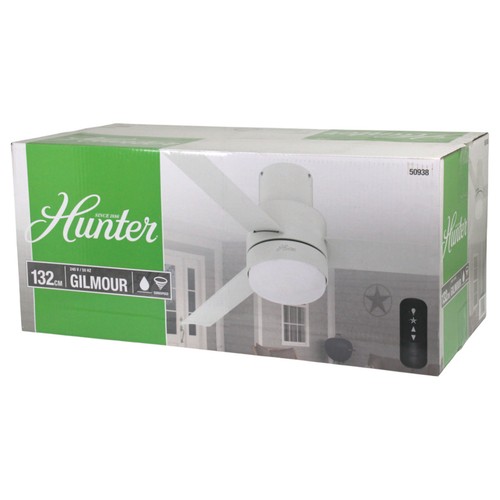 Hunter gilmour 50938 - 50938, ceiling