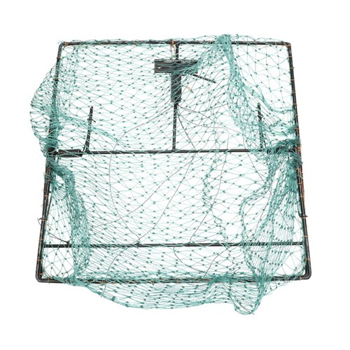 Bird nets humane traps - humane, sparrow