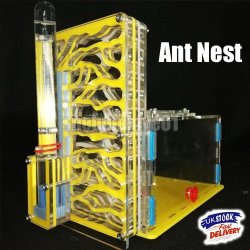 Acrylic ant nest formicarium - acrylic,