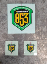 Reynolds 853 Frame and Fork