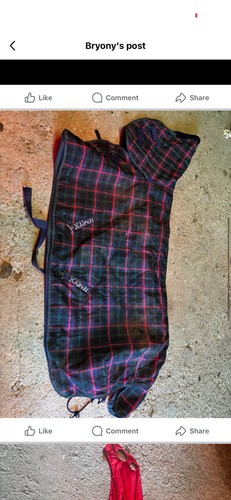 Shires 100g stable combo - 100g,