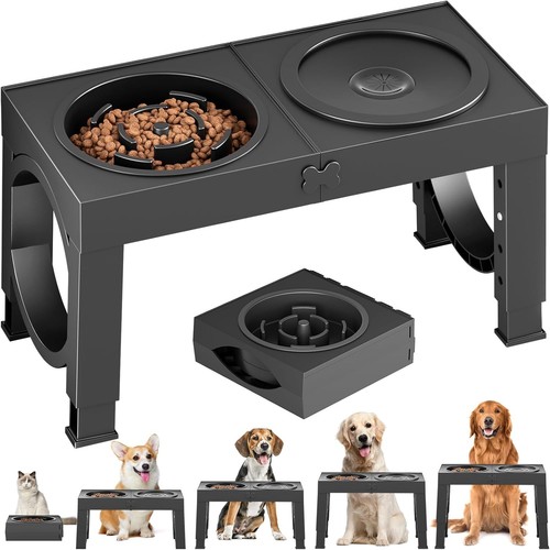 Adjustable raised dog - raised, feeding
