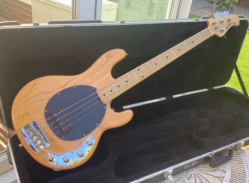 Ernie ball musicman - ernie,