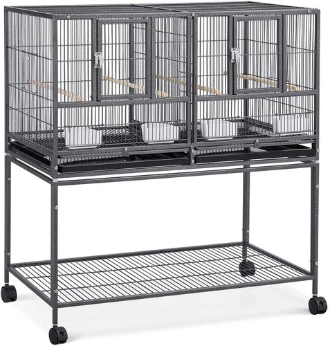Divided breeder parakeet - breeder,