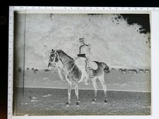 Antique Glass Plate Negative