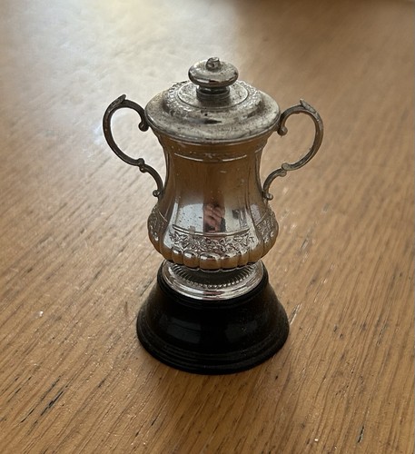 Subbuteo cup model - subbuteo, fa