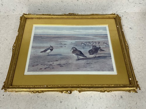 Archibald thorburn signed - archibald,