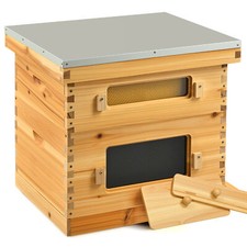 20 Frames Bee hive Frame