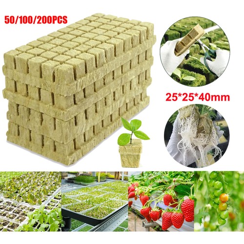 200pc grow starter rockwool - grow,