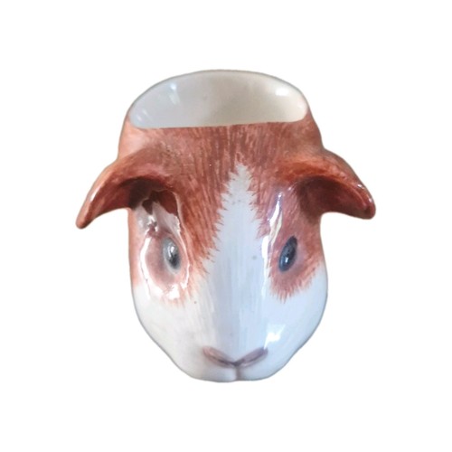 Quail guinea pig - pig, collectable
