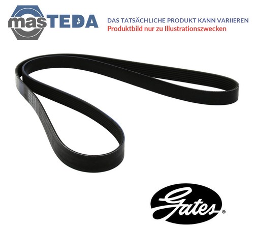 6pk1570hd belt ribbed - 6pk1570hd, v-ribbed