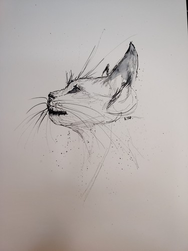 Original cat size scribble - cat, a4