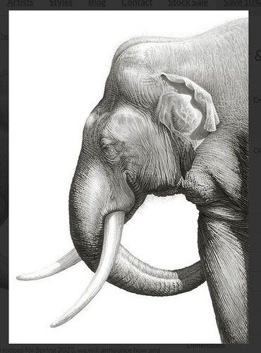 Gary hodges old tusker - gary, "old