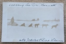 RP Husky Dog Sled Mushing Team, Real Photo Early 20th Century Postcard 