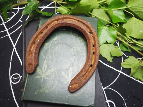Real worn horse shoe - horse, good
