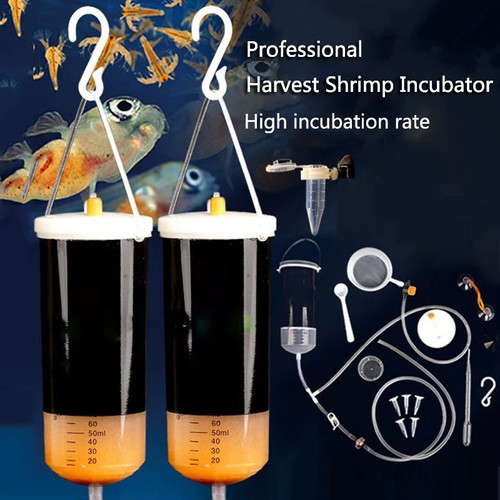 Artimia brine egg shrimp - artimia,