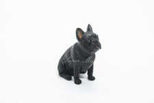 Black Cute French Bulldog