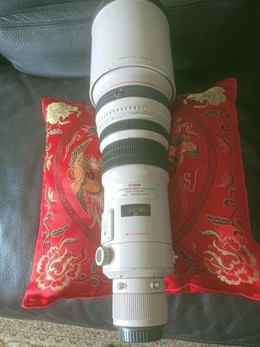 Canon 500mm 500 - f/4, 500/4