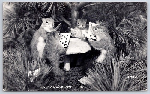 Anthropomorphic taxidermy