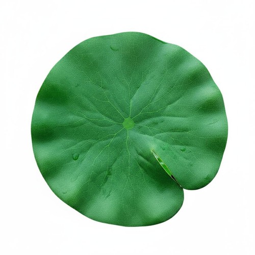 Floating lotus pad realistic - floating,