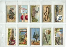 Do You Know 4th Series 1933 Wills Cigarette Cards - Full Set of 50 Cards