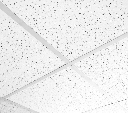 Suspended ceiling acoustic - ceiling,
