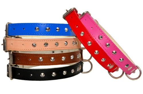 Real leather studded dog - real,