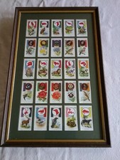 Framed Players Boy Scout and