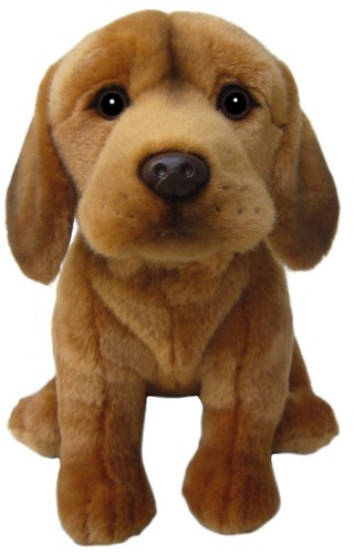 Hungarian vizsla teddy - 12",