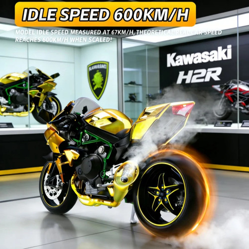 Kawasaki h2r - 1:9,