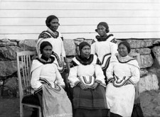 Canada Labrador female