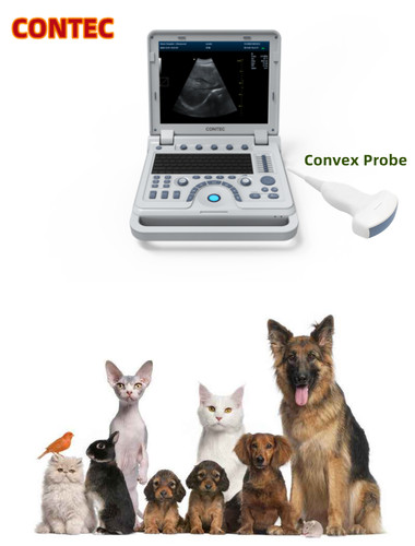 Contec cms600p2plus vet laptop - contec, cms600p2plus-vet