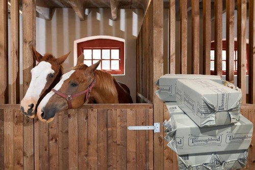 Horse bedding bale shavings - horse, bale,